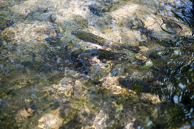 p2028850912-4.jpg