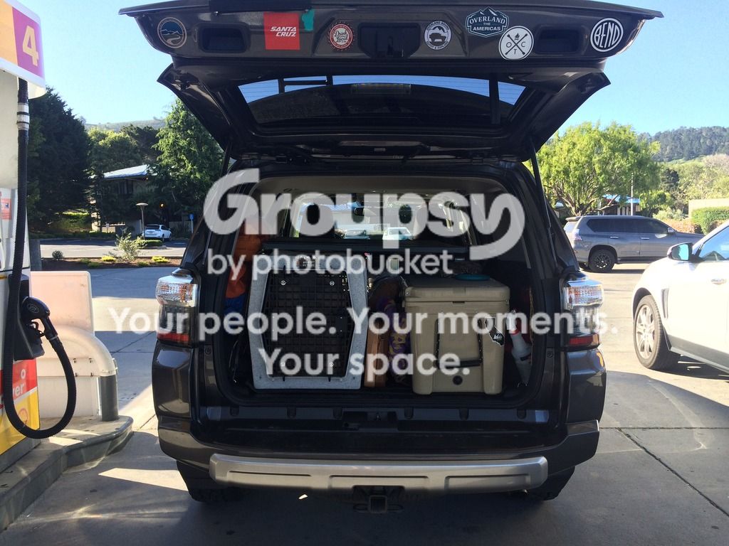 IMG_6303_zpsep4umucd.jpg~original