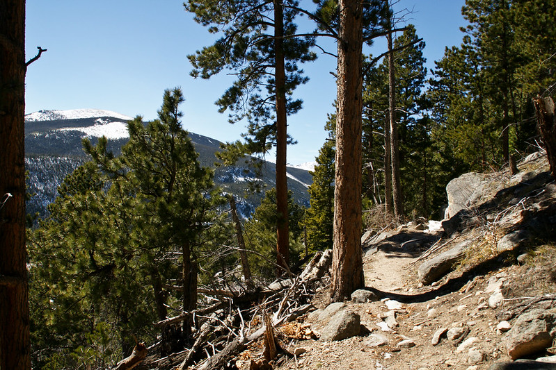21039759960_5f3f089e45_c.jpg