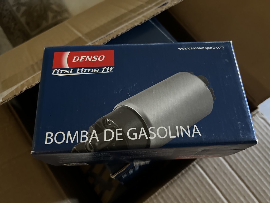 52398997899_6b8453c040_b.jpg
