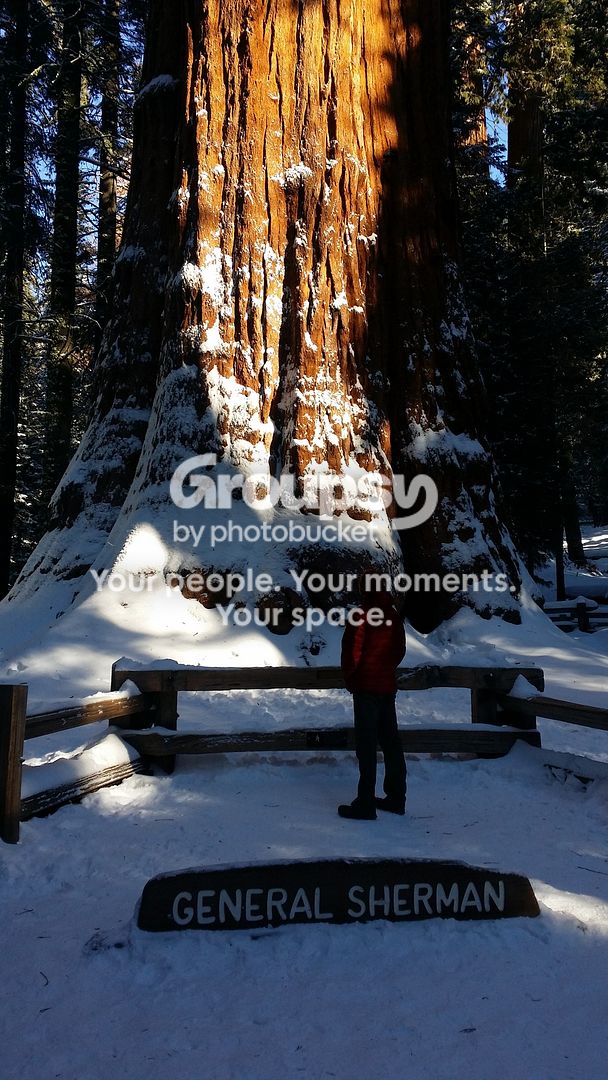 20151226_092103_zpsrr5bogxb.jpg~original