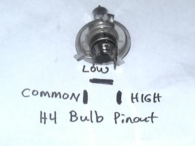 h4blub.jpg~original