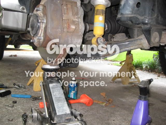 IMG_0317.jpg~original