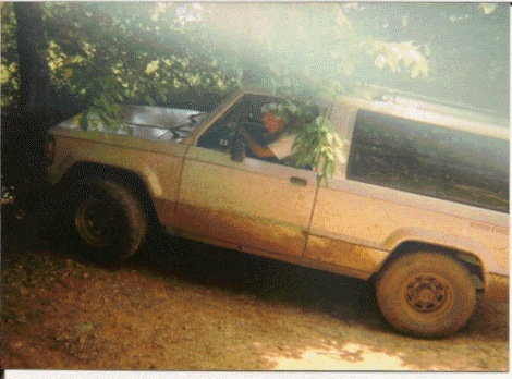 mudbug2.gif~original
