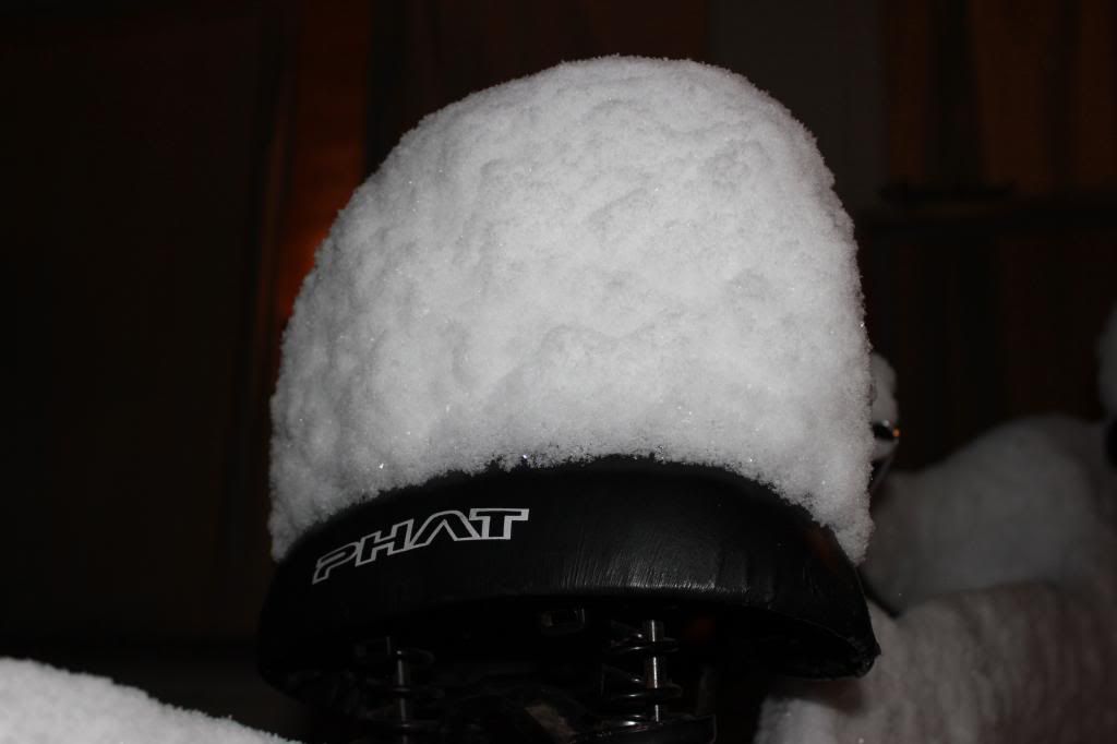 Winter2012020.jpg~original