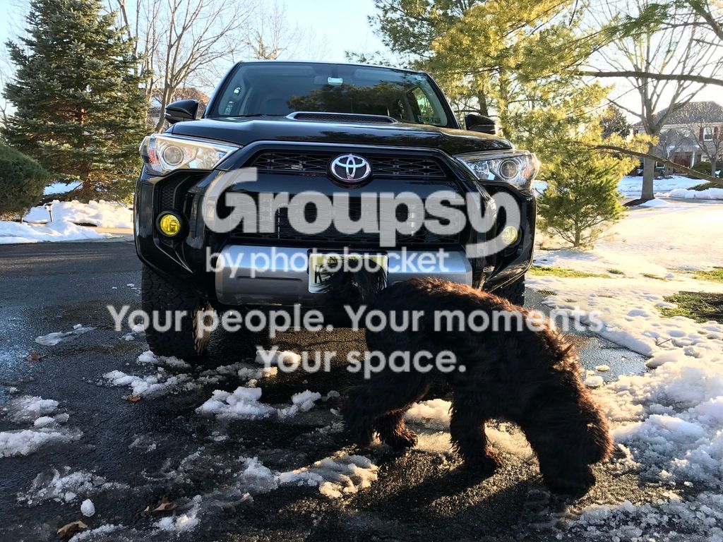 IMG_2985_zpss5phgblp.jpg~original