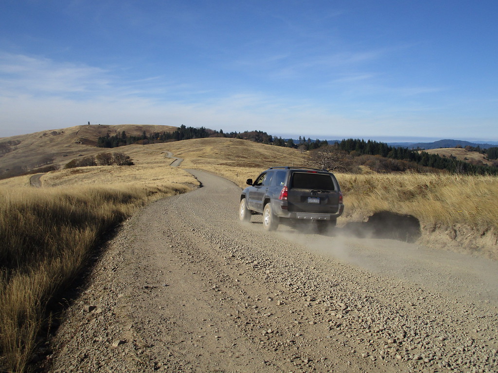 IMG_2784-XL.jpg