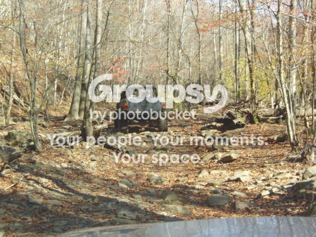 CIMG3902.jpg~original