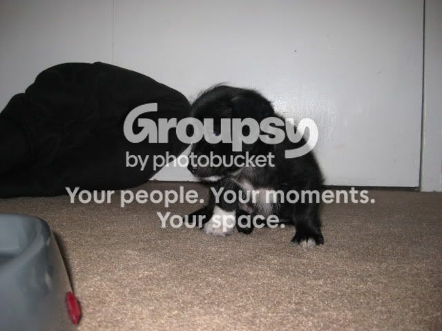 IMG_3806.jpg~original