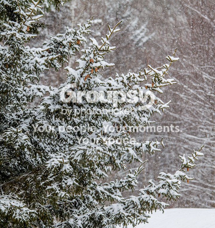 20140120_0016_S1_zpsbc48c326.jpg~original