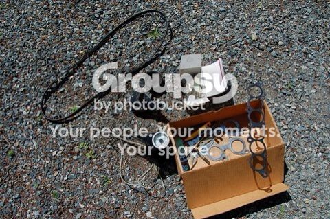 5641e495.jpg~original