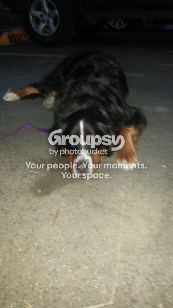 20130318_192652_zps025b397f.jpg~original