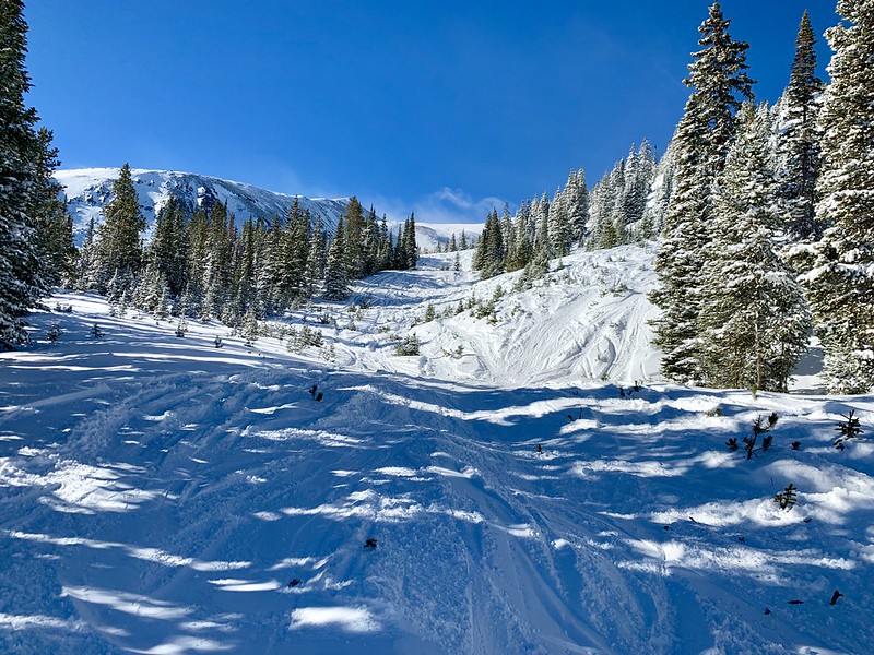44605203940_dc59c96123_c.jpg