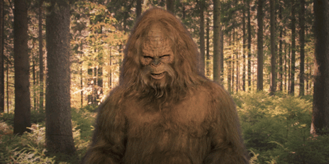 l46C8niNgpzovmhpK.gif