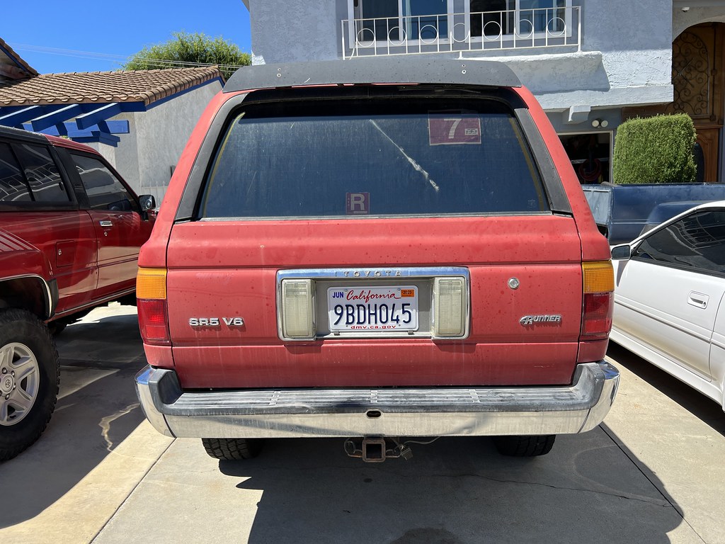 52197348988_6394f76d09_b.jpg