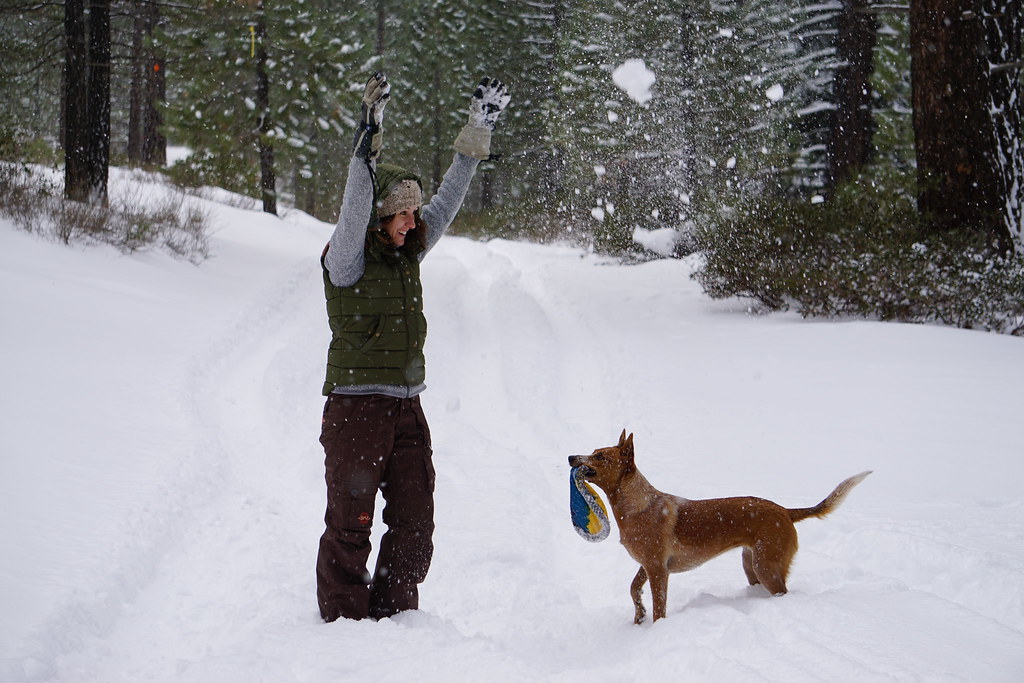 32080091125_5205f2f3b4_b.jpg