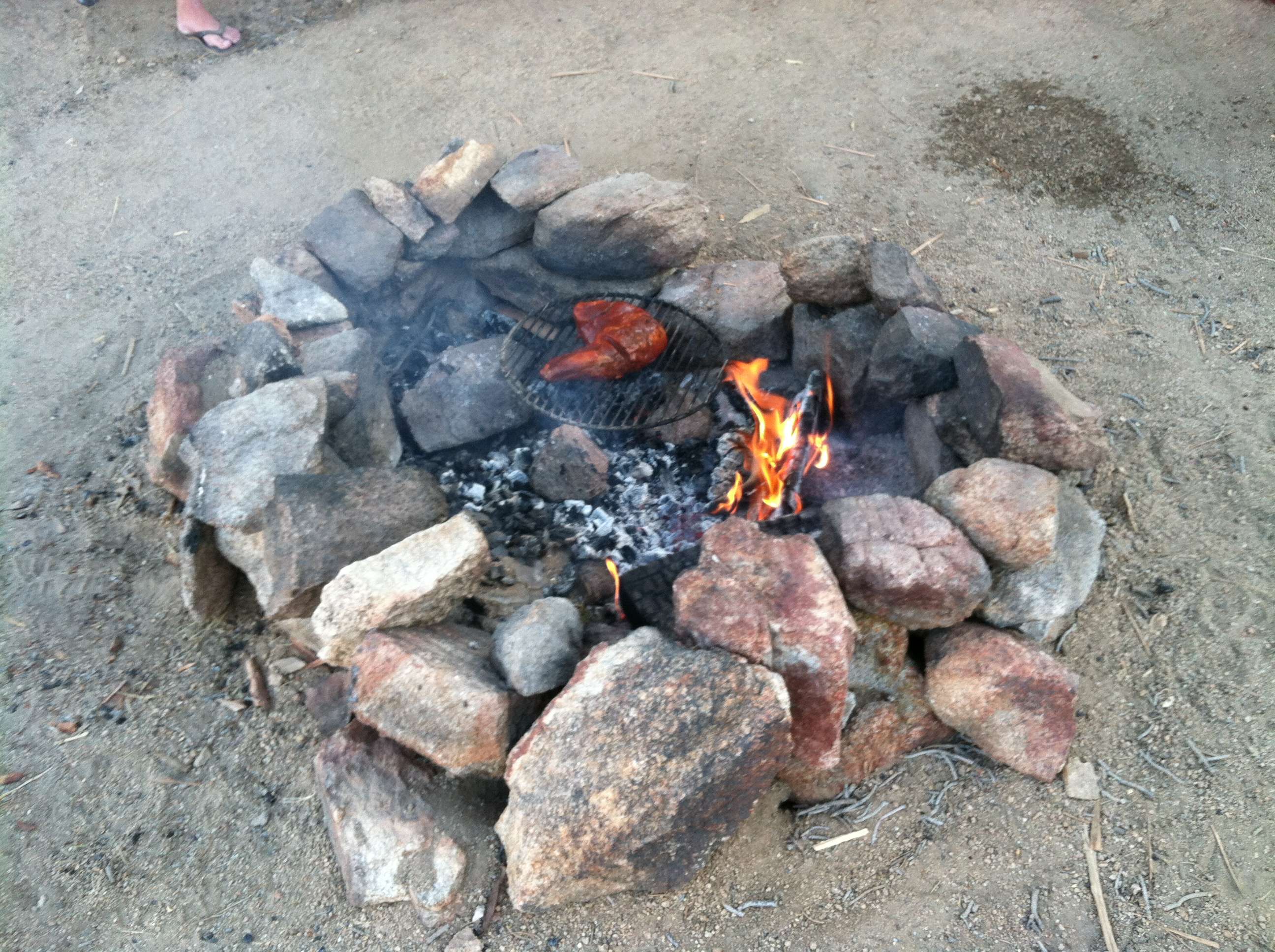 img3346a.jpg