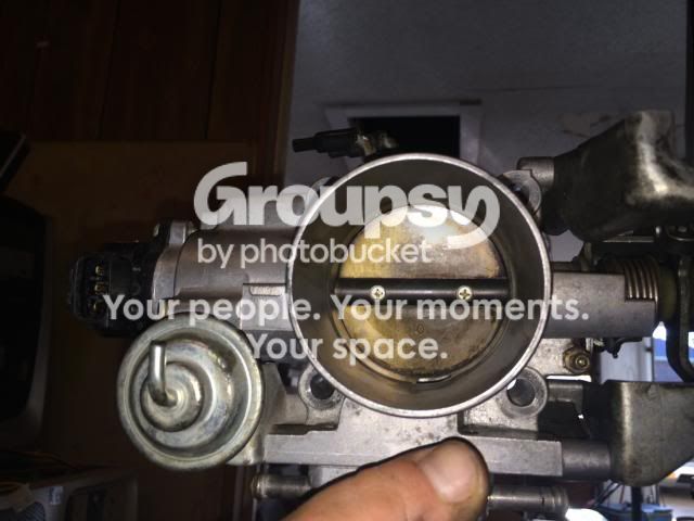 IMG_0684_zpsdf0bf609.jpg~original