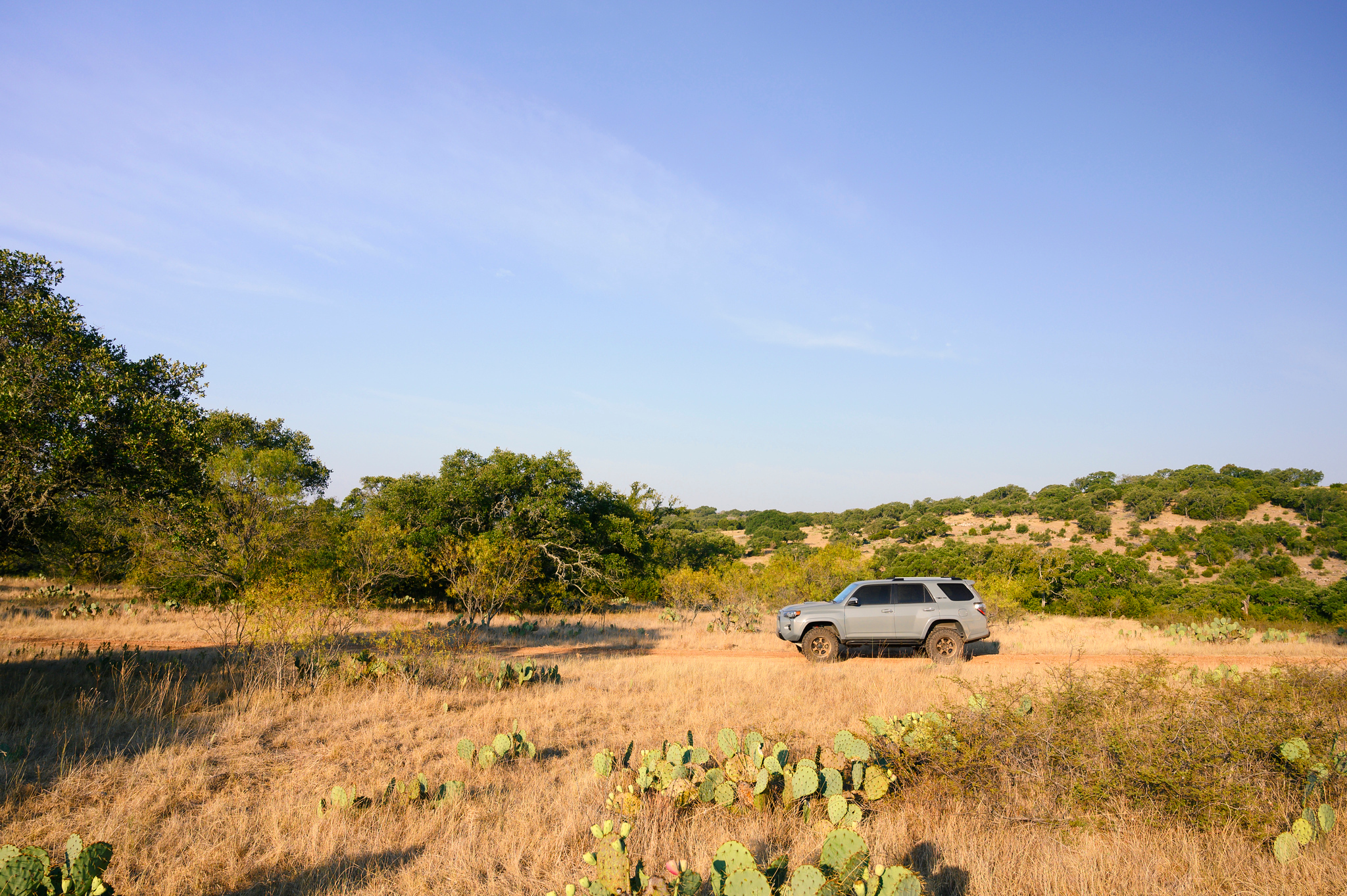 DSC_7800-X4.jpg