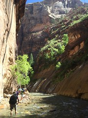 46272130654_5f0165fde3_m.jpg