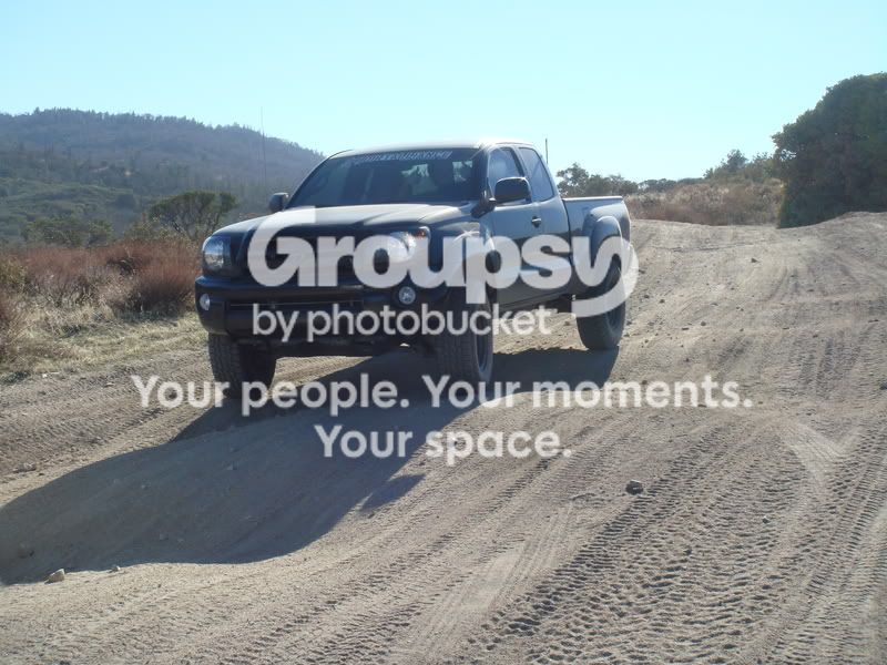 brobrock.jpg~original