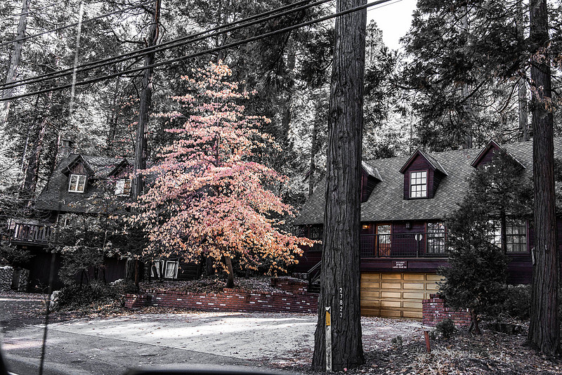 p154673513-4.jpg