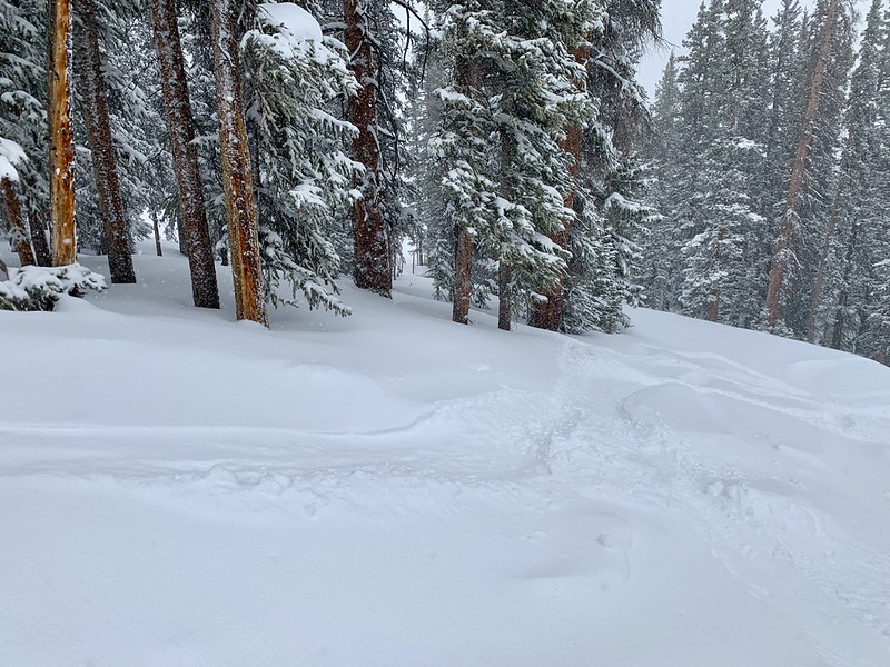 32539733088_fe4c561377_c.jpg