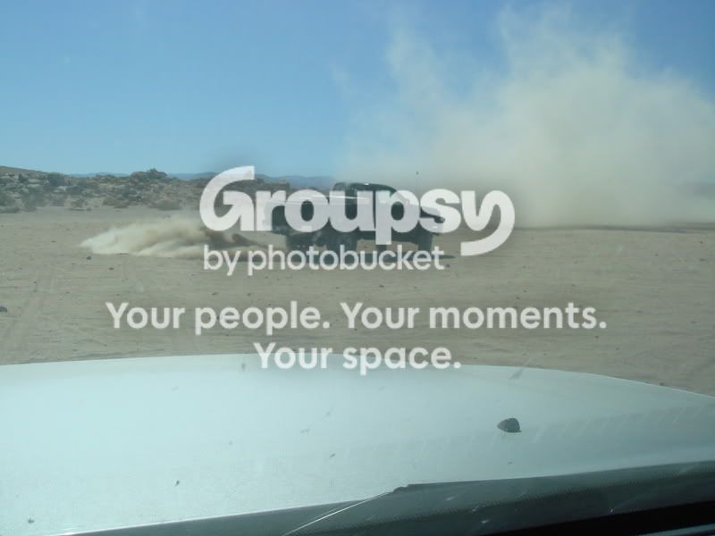 roost.jpg~original