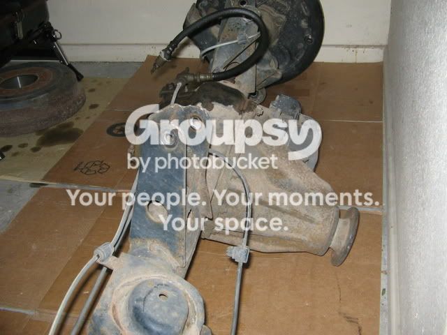 Picture005.jpg