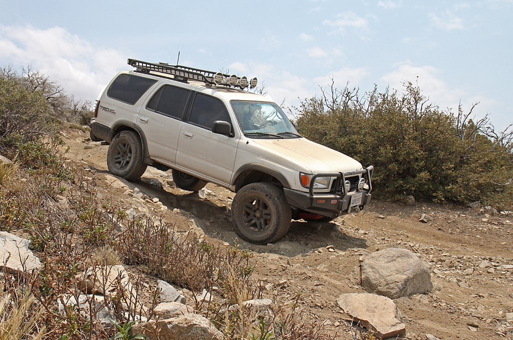 bbf_6-29-13_53.jpg