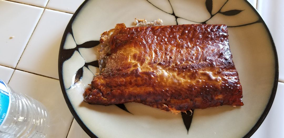 steelhead_trout_01.jpg