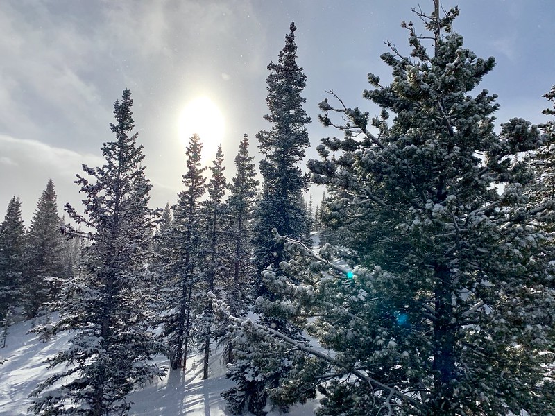 46402478662_ed2d7e9459_c.jpg
