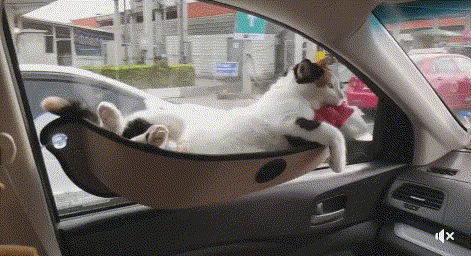 daily_gifdump_1365_27.gif