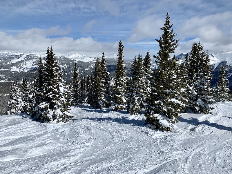 46665659384_2b1c06386f_c.jpg