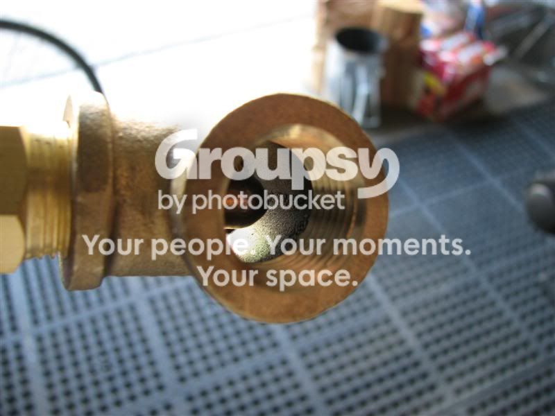 IMG_7844Medium.jpg~original