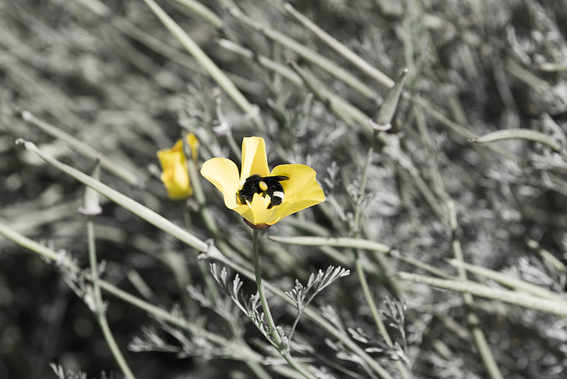 p1771405344-4.jpg