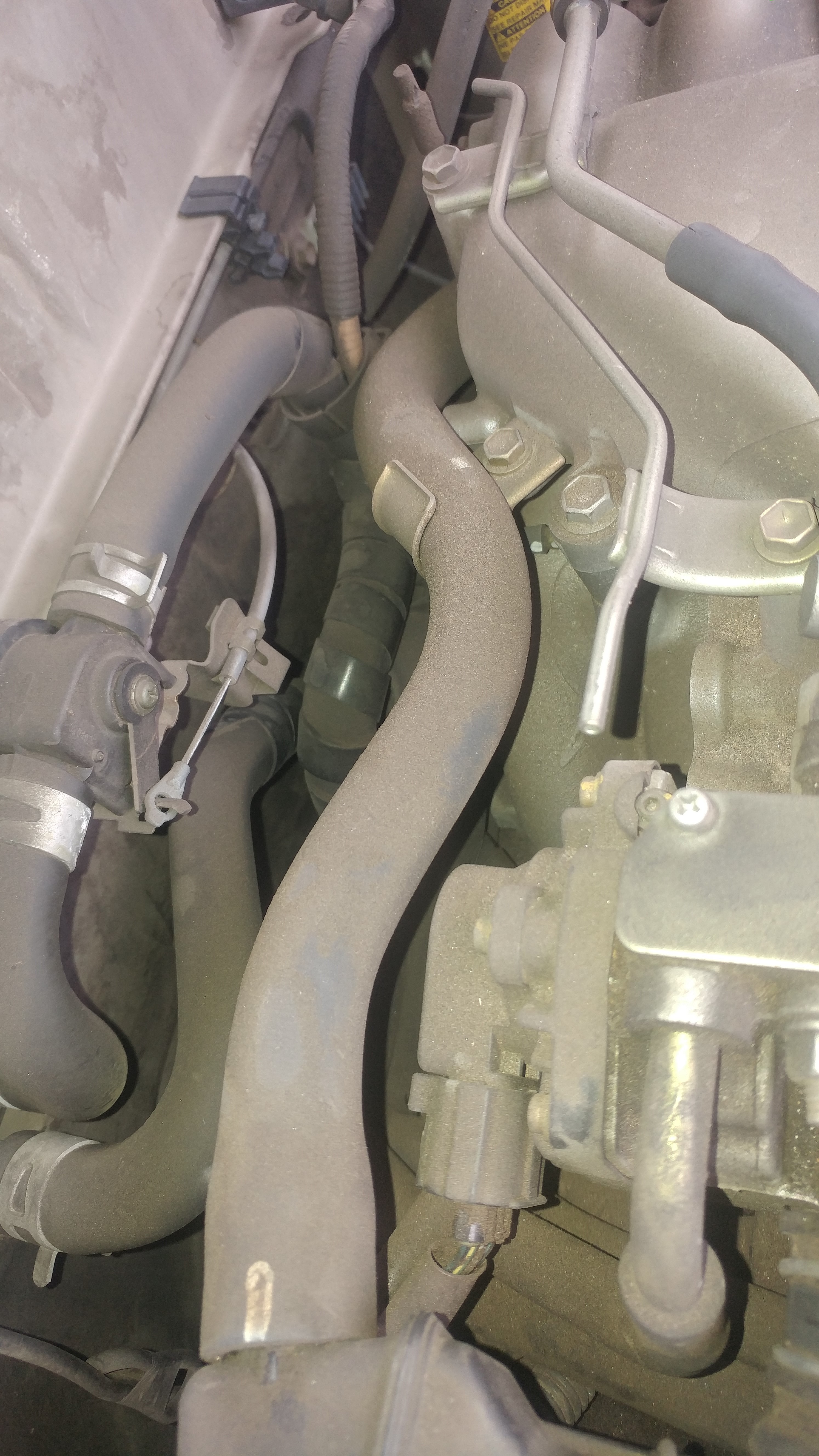 20191005_135358.jpg