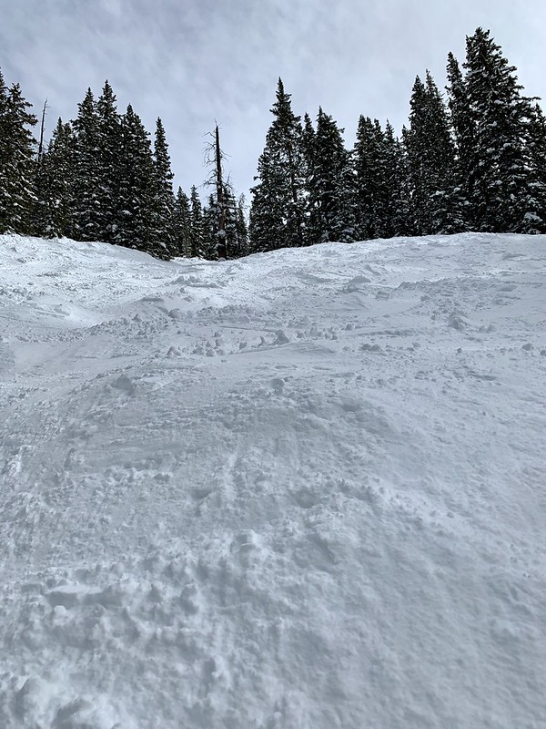 47389001251_29b63d0977_c.jpg
